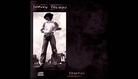 Shawn Colvin- Shotgun Down the Avalanche