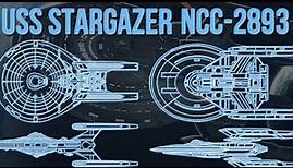 The STARGAZER Legacy