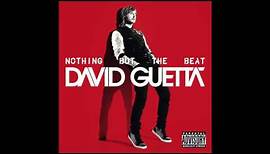 David Guetta - Without You (Audio)