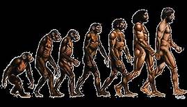 Ape To Man | Evolution Documentary HD720p 2016