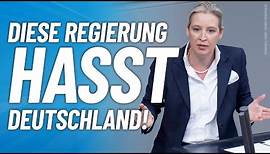 "Diese Regierung hasst Deutschland!" - Alice Weidel - AfD