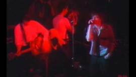 The Fall - Lay of the Land - Live 1984