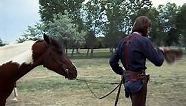 The Hired Hand HD (1971)