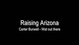 Raising arizona - Carter Burwell - Way out there
