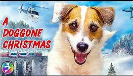 A DOGGONE CHRISTMAS | Full Family Adventure Dog Movie | Ft. “Just Jesse the Jack”