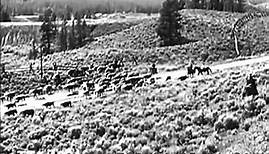 Wyoming, 1947
