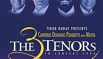 The Three Tenors in Concert 1994 with The Vision (The Making of)