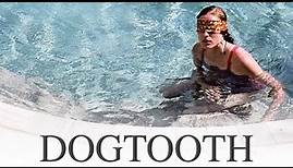 Dogtooth | Official Trailer | Yorgos Lanthimos