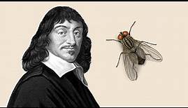 Descartes & The Fly