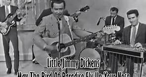 Little Jimmy Dickens - May The Bird Of Paradise Fly Up Your Nose 1965