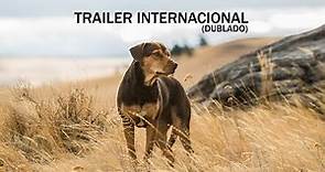 A Caminho de Casa | Trailer Internacional | DUB | 28 de fevereiro nos cinemas