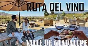 Visita los mejores viñedos de Valle de Guadalupe en Baja California. La Ruta del Vino.