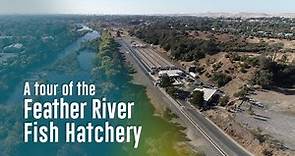 A Virtual Tour of the Feather River Fish Hatchery