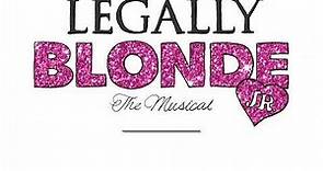 WHAT YOU WANT (parts 1,2 and 3)- Legally Blonde The Musical Jr.
