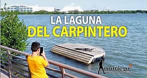 Laguna del Carpintero en Tampico: la historia detrás de este atractivo turístico