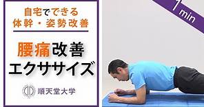 【腰痛軽減】1分間の腰痛改善エクササイズ（フロントブリッジ、体幹トレーニング）