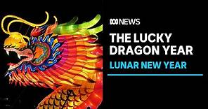 Lunar New Year 2024: What does the year of the dragon mean? | ABC News