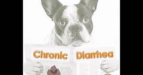 Considerations for Dogs with Chronic Diarrhea