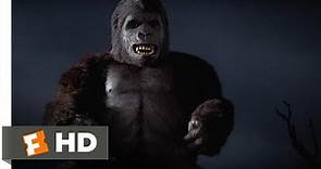 King Kong (4/9) Movie CLIP - A Violent Encounter (1976) HD