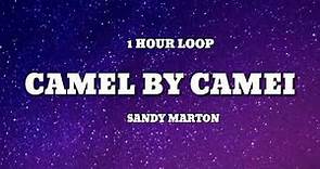 Sandy Marton - Camel by Camel (1 HOUR LOOP)