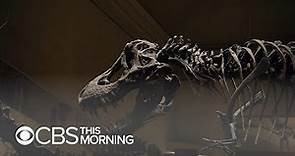 Smithsonian Museum of Natural History debuts long-awaited dinosaur exhibit