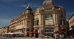 The Best Restaurants In Montpellier France