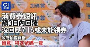 消費券｜政府發短訊抽查領取資格 邀請3日內回覆 特定號碼一覽｜01新聞｜消費券｜八達通｜Alipay｜Payme｜微信支付 #hongkongnews