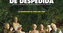 La Fiesta De Despedida - película: Ver online en español