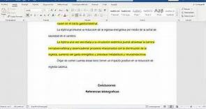 Ejemplo de Ensayo y aplicación de Normas APA para citación y referencias