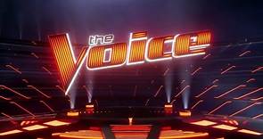 The Voice - Se14 - Ep17 - The Live Playoffs, Night 2 HD Watch