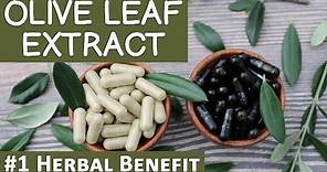 #1 Herbal Benefit of Olive Leaf Extract