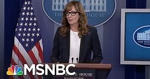 Allison Janney Surprises Press At White House Briefing | MSNBC