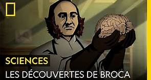 Connaissez-vous Paul Broca, le chirurgien qui a donné son nom à une partie du cerveau ?