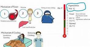 Body Temperature: Fever, Hyperpyrexia vs Hyperthermia (heat stroke)