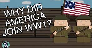 Why did the US Join World War One? (Short Animated Documentary)