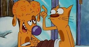 Watch CatDog Season 1 Episode 20: CatDog - Smarter than the Average Dog/CatDog Doesn't Live Here Anymore – Full show on Paramount Plus