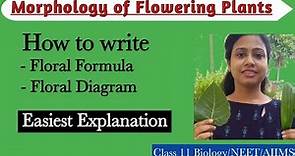 How to write Floral Formula & Floral Diagram |Description of Flower |Morphology of Flowering Plants