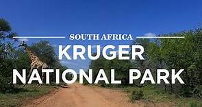 Kruger National Park, South Africa | Safari365