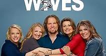 Sister Wives: Season 9 Episode 12 A Boy or a Girl?