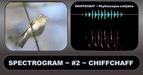 SPECTROGRAM #2 CHIFFCHAFF – An aid to understanding and visualising birdsong