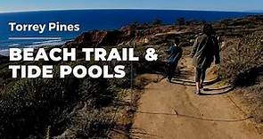 Torrey Pines Beach Trail Guide