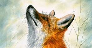 Acrylic Speed-painting | Realistic Red Fox Drawing