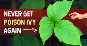 Never Get Poison Ivy Again! The Science Explained
