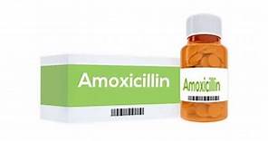 How Long Does It Take Amoxicillin To Stop Tooth Pain? - Dentaly.org