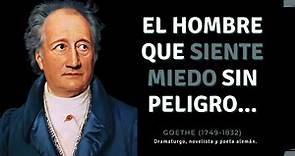 Goethe: Frases y reflexiones.