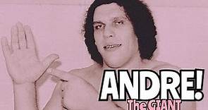 PRIVATE LIFE of ANDRE THE GIANT | Life Outside Wrestling WWE