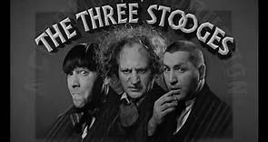 The Three Stooges| Woman Haters | Comedy