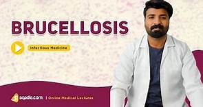 Brucellosis | Infectious Medicine Lectures | Medical Education | V-Learning | sqadia.com