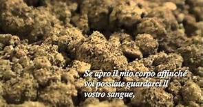 GINA PANE (1939 - 1990). E' PER AMORE VOSTRO: L'ALTRO (estratto dal videoFocus)