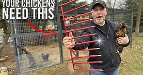 How to Build a Predator Proof Chicken Run around your Coop // DIY Project